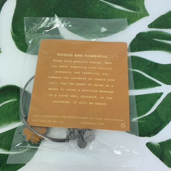 Alex and Ani Stay Grounded Charm Bangle Bracelet - Picture 5 of 8